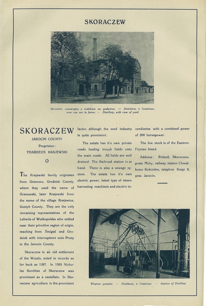 171 skoraczew.jpg